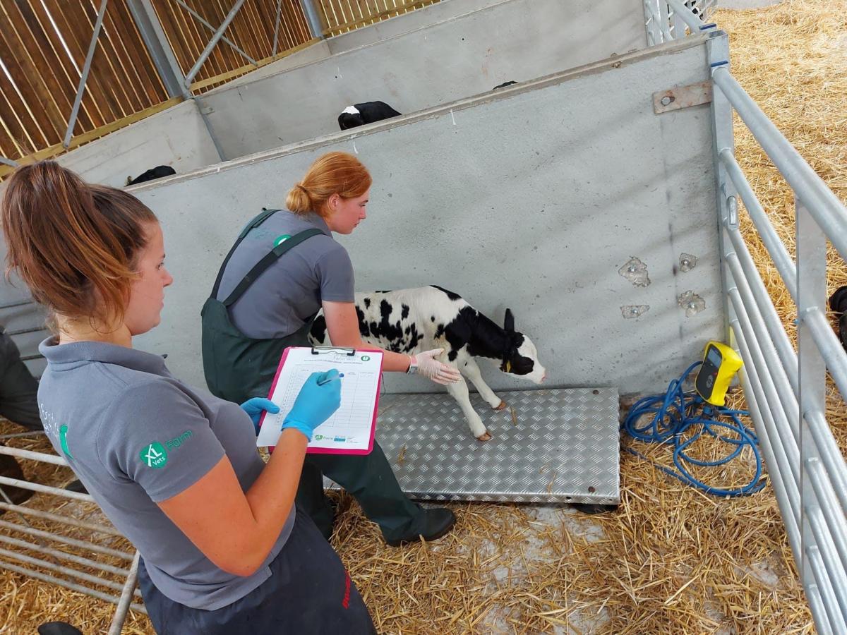 Vet Tech Services St.Boniface Veterinary Clinic